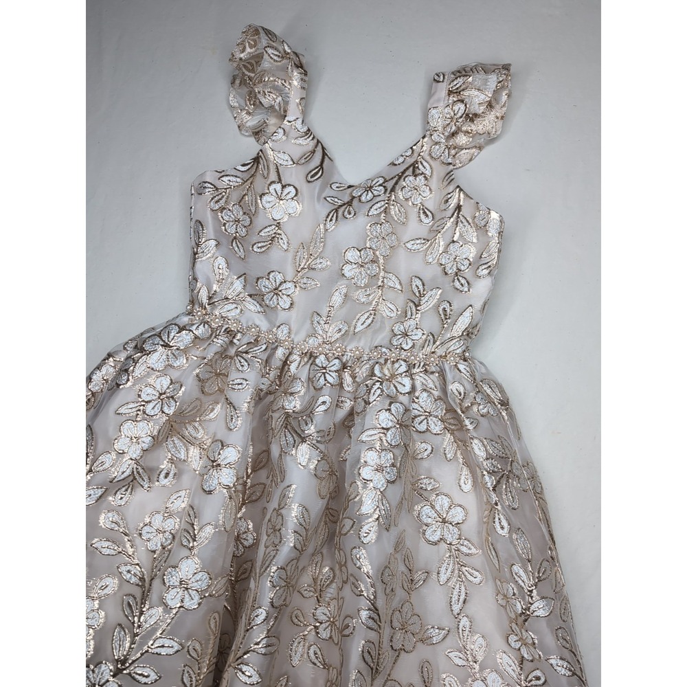Rare Editions Big Girl Size 8 Floral Burnout Organza Dress Special Occasion Gold